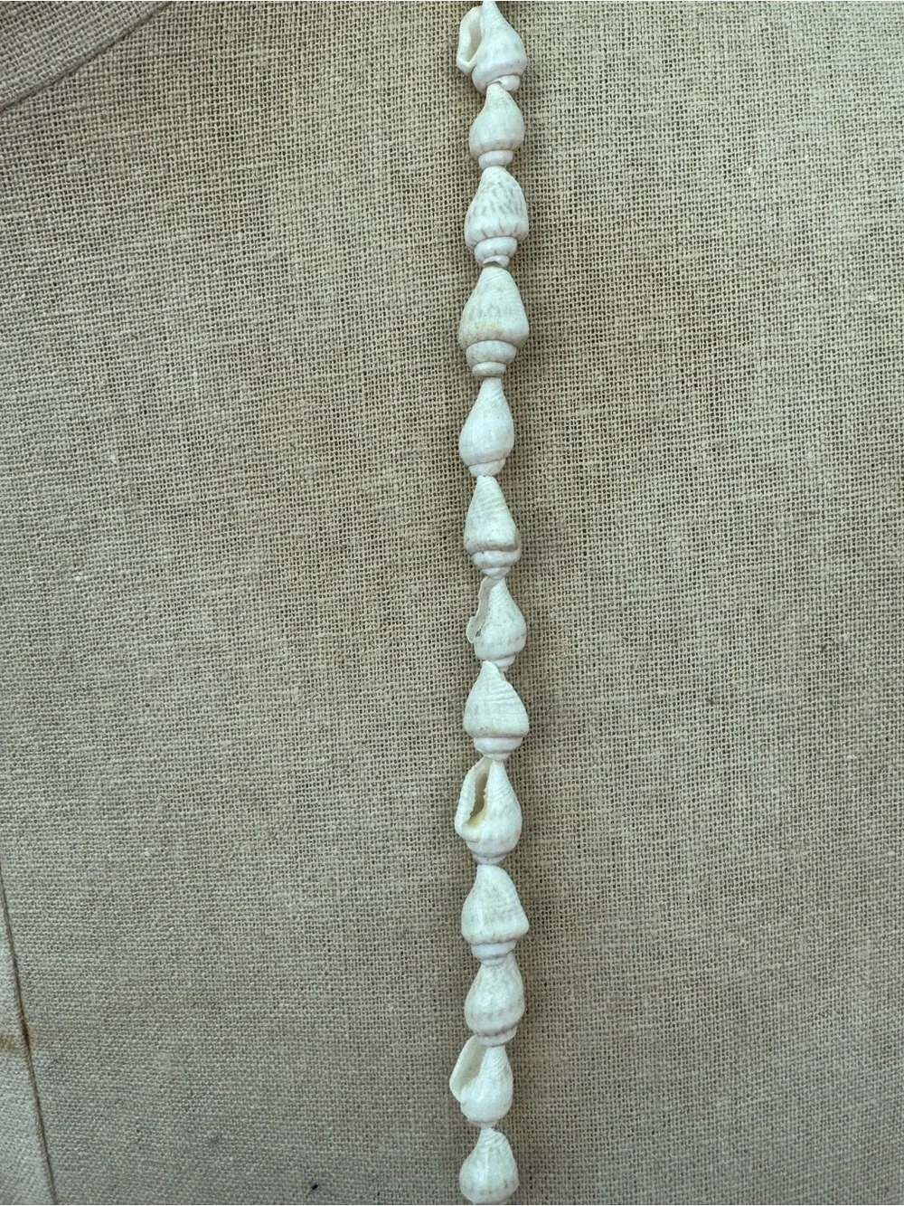 Vintage Small Shell Long Necklace